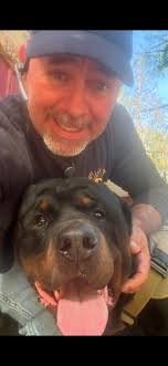 Dog Seizures Help Page