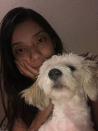 Missing Dogs in Lusaka, Zambia, off Shantumbu Road