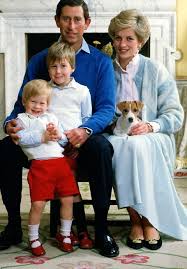 Prince william, duke of cambridge turns 33 and femail looks back. Prince Harry Through The Years 53 Photos Of Prince Harry S Childhood And Transformation