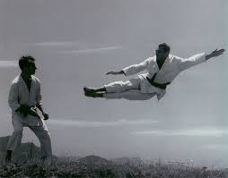 Ctc Family Membership Privileges Gracie News Gracie Academy Jiu Jitsu Martial Arts