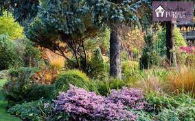 Add the removed soil to the top of the grass to finish filling in the hole. Easy No Dig Flower Bed Create A Garden Right Over Your Grass Pretty Purple Door