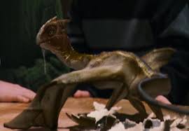 If you're like norberta, you know what you want and you have a fierce instinct to protect yourself and others around you. Harry Potter World On Twitter 24 April 1992 A Norwegian Ridgeback Dragon Named Norbert Later Known As Norberta Hatches In Hagrid S Cabin