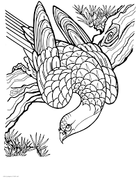 Free coloring pages for adults to print and download. Birds Of Prey Coloring Pages For Adults Coloring Pages Printable Com