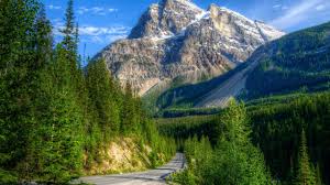 Beautiful Mountain Landscape Green Pine Forest High Mountain Peaks With Snow Blue Yoho National Park British Columbia Canada1920x1080 Nature Wallpaper Wallpapers13 Com
