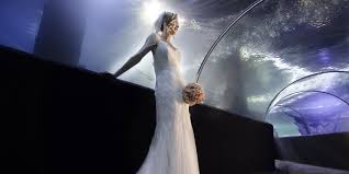 Depending on your body type, venue of your wedding, activities of the day and, most importantly, your preference, you can choose the gown of your dreams. Ohio Museum Gallery Wedding Venues Price 24 Venues