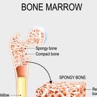 Early warning signs of cancer caution. 8 Warning Signs Of Cancer You Should Never Ignore