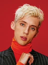 Troye Sivan Bio Age Albums Songs Parents Siblings Net Worth 2021 World Celebs Com Troye sivan's coming of age. troye sivan bio age albums songs
