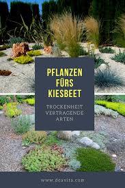 Ein Kiesgarten Ist Die Ideale Losung Fur Jeden Der Nicht Viel Zeit Fur Die Pflege Seiner Gartenanlage Zur Verfugung H Kiesbeet Steingarten Pflanzen Kiesgarten