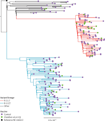 How the novavax vaccine works. Efficacy Of Chadox1 Ncov 19 Azd1222 Vaccine Against Sars Cov 2 Variant Of Concern 202012 01 B 1 1 7 An Exploratory Analysis Of A Randomised Controlled Trial The Lancet