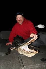 Alligator season returns to South Carolina in September