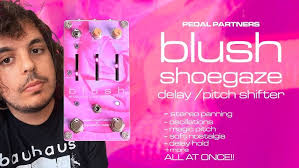 DIY Synthrotek Cosmic Echo Delay Pedal Demo