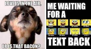 Check out the examples below. 59 Funny Memes About Love That Will Make Her Laugh And Cry At The Same Time