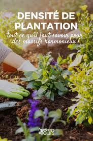 Vivaces Arbres Arbustes Quelles Densites De Plantation