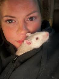 What are the pros and cons of getting rats from breeders versus rescue?