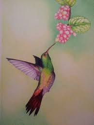 We did not find results for: Pin By Pablo Andres Morales Munoz On Drawings Colored Pencils Hummingbird Drawing Hummingbird Art Color Pencil Drawing
