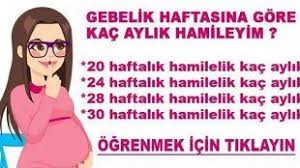 Gebelik Haftasina Gore Kac Aylik Hamileyim Hamilelik Gebelik Donemi Yenidogan Bakimi