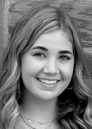 Litchfield City Council Approves Business District