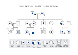 Free Down Syndrome Hereditary Medical Genogram Template
