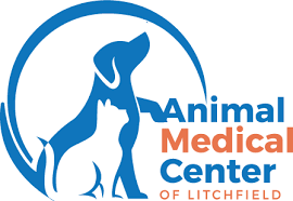 We look at every aspect of your pet's health to. Litchfield Il Veterinarian 62056 Animal Medical Center Of Litchfield