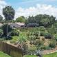 Growing Tropical Fruit Trees in Your Yard w/ Lev..... event in Tampa, FL