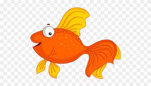 Türkiye'nin en iyi ve en sevilen pet shop sitesi juen pet market, sektöründe başarılı ve kendisini kanıtlamış bir sitedir. Clipart Japon Baligi Goldfish Free Transparent Png Clipart Images Download