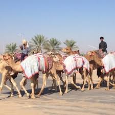 It means the road of the camel', because, as the saying goes, the road of the camel is a straight path. Million Street Madinat Zayed United Arab Emirates Atlas Obscura