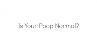 is my poop normal? dr. cobi