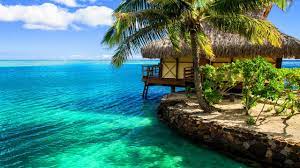 Beach Resort Bungalow Resorts Resort Beach Resorts