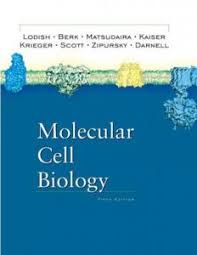 Vfc bodied guns installation instructions:download. Medical Cell Biology Third Edition Medical Cell Biology Goodman Pdf Free Download