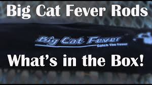 Durability is something i'm a fan of in rod design, and i doubt many rods can handle what those rods can handle. Big Cat Fever Rod Catch The Fever Catfishing Rods Youtube