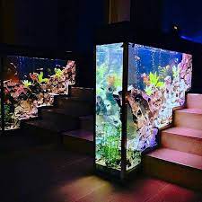 Untuk aquarium unik jenis ini, mungkin anda belum pernah melihatnya. 14 Desain Aquarium Unik Dan Cara Membuatnya Inreview Id