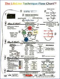 16 steps of the flow chart transform within