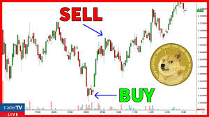 From beginners to advanced guides, we've got you covered daily and when it matters the vwap helps determine if a market trend is overbought or oversold. The Ultimate Crypto Trading Guide For Beginners Youtube