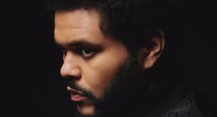 Eliezer Botzer and Lucky Ali's Eli Ali Project Releases 'Virtuality' Video  Shot in Ukraine