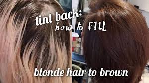 Fans of wavy hair can mix their natural dark brown colour with light blonde highlights. Tint Back How To Fill Blonde Hair To Brown Youtube