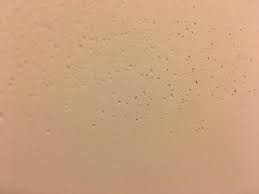 Use a primer designed for painted walls. Air Bubbles In Drywall Mud Doityourself Com Community Forums