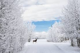 We did not find results for: Reaching The Far North For Christ Mission Network News