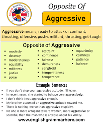 M very aggressive in my approach to mixing these kinds of tracks. Opposite Of Aggressive Antonyms Of Aggressive Meaning And Example Sentences English Grammar Here