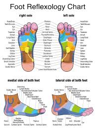 acupressure acupressure points reflexology meridians