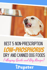 As in humans, one of the first things considered with kidney patients is an appropriate if you have a big dog you can formulate your own raw dog food using our article on diy raw dog food, finding organic meat when and where you can. 10 Best Prescription And Non Prescription Low Phosphorus Dog Foods Of 2020 In 2020 Dog Food Recipes Renal Dog Food Canned Dog Food