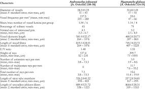 Image result for Androstachys