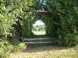 Maybe you would like to learn more about one of these? Pin On Xc