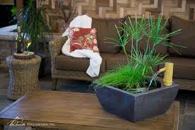 Maybe you would like to learn more about one of these? Container Water Gardens Mini Ponds Aquascape Patio Ponds