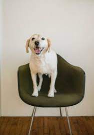 We did not find results for: How To Keep A Garage Cool For Dog Garagexpart