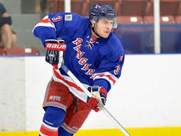 Wellington's comeback falls short, North York wins 8-6