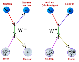 Undetectable Standard Model Particles
