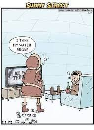 The Cold Life Funny Cartoons Funny Comics Funny Pictures