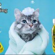 Lanjut lagi, sekarang koko lagi makan di tempat yang sudah legend di tebing tinggi, bahkan bebeknya ini pernah sangat populer pada masanya, tapi rasanya. Jual Beli Sepeda Anak Baru Dan Bekas Tebing Tinggi Sumatera Utara Jualo