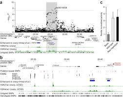 See sandra orlow pictures, photo shoots, and listen online to the latest music. Identification Of Six New Susceptibility Loci For Invasive Epithelial Ovarian Cancer Nature Genetics