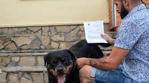 Vous n'en pouvez plus des aboiements de votre chien ? Flemalle Verbalise Car Ses Deux Chiens Aboient Edition Digitale De Luxembourg